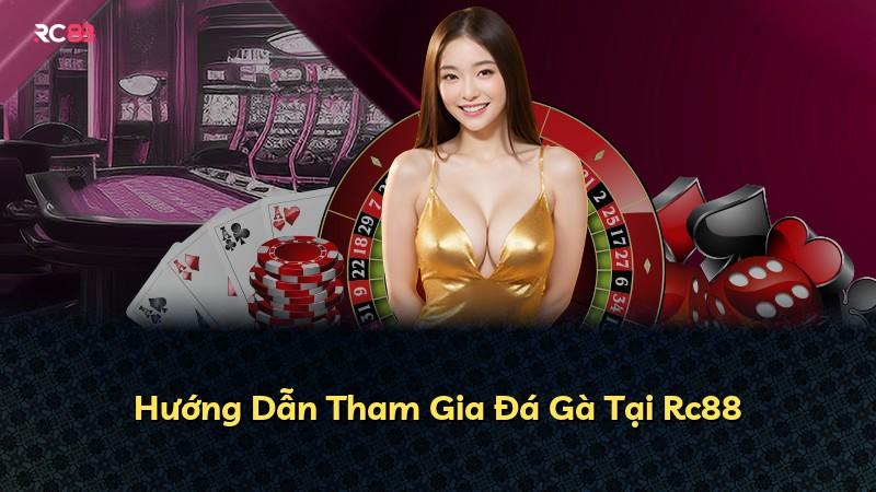 Hướng Dẫn Tham Gia Đá Gà Tại Rc88